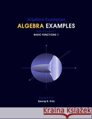 Algebra Examples Basic Functions 1 Seong R. Kim 9781466321731 Createspace - książka