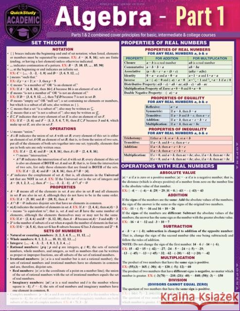 Algebra part 1 S B Kizlik 9781423251101 Quickstudy Reference Guides - książka