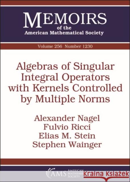 Algebras of Singular Integral Operators with Kernels Controlled by Multiple Norms Alexander Nagel, Fulvio Ricci, Elias M. Stein 9781470434380 Eurospan (JL) - książka