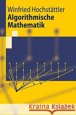 Algorithmische Mathematik Winfried Hochstattler 9783642054211 Springer - książka