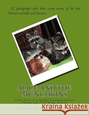 Alice and the Munchkins: A True Story of an Unlikely Friendship between a Woman and a Wild Mother Raccoon Carper, Sharon Kay 9781503165243 Createspace - książka