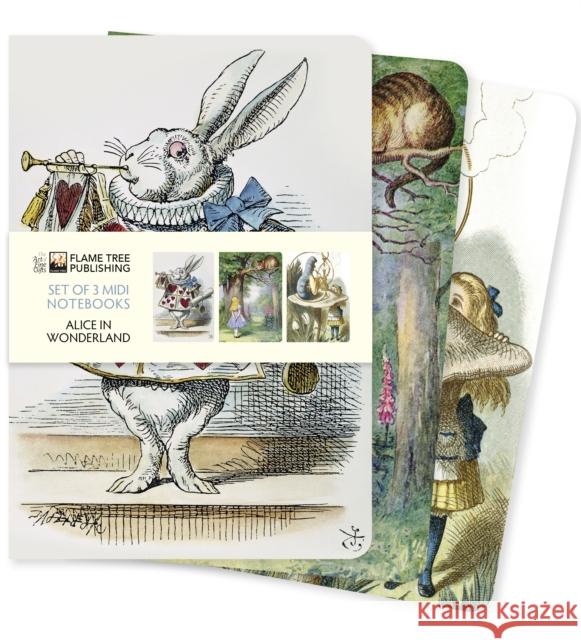 Alice in Wonderland Set of 3 Midi Notebooks  9781839647673 Flame Tree Publishing - książka