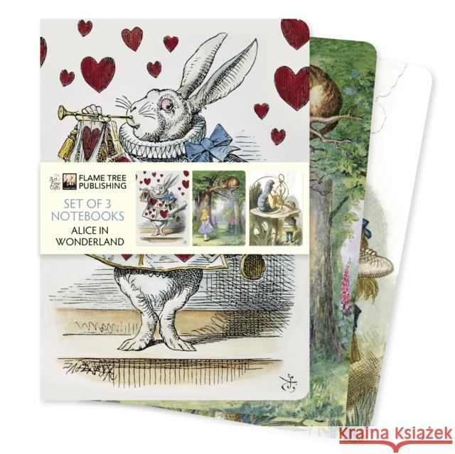 Alice in Wonderland Set of 3 Standard Notebooks Flame Tree Studio 9781804176818 Flame Tree Publishing - książka