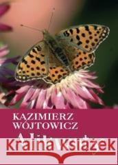 Alikwoty Kazimierz Wójtowicz CR 9788374540490 TUM - książka