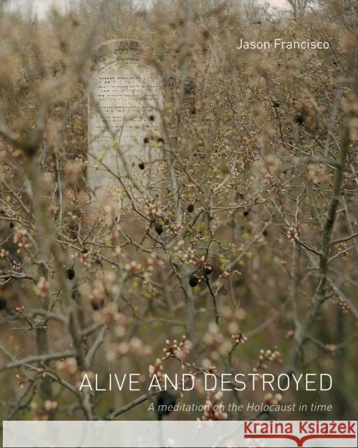 Alive and Destroyed  9781954119024 Daylight Books - książka