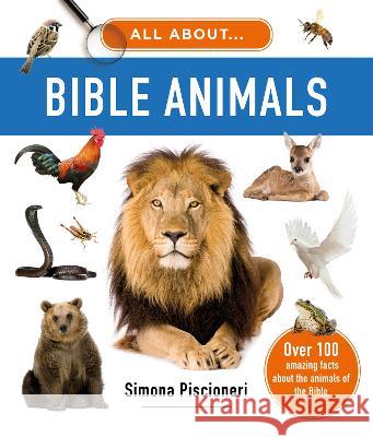 All about Bible Animals: Over 100 Amazing Facts about the Animals of the Bible Simona Piscioneri 9781784988685 Good Book Co - książka