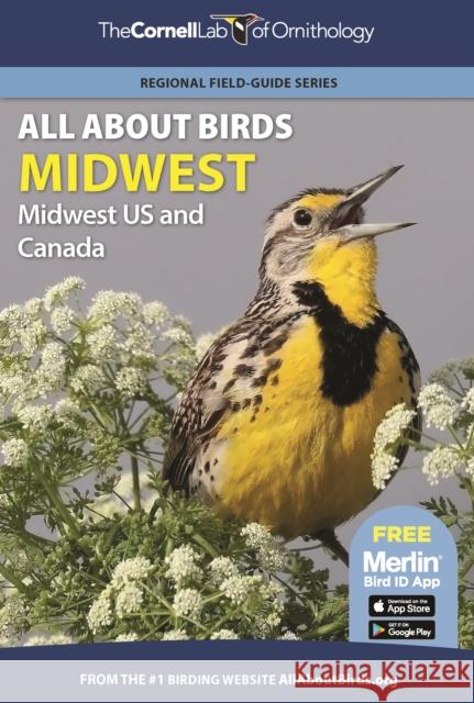 All about Birds Midwest: Midwest Us and Canada Cornell Lab of Ornithology 9780691990002 Princeton University Press/The Cornell Lab Pu - książka