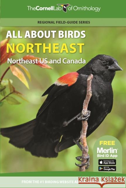 All about Birds Northeast: Northeast Us and Canada Cornell Lab of Ornithology 9780691990026 Princeton University Press/The Cornell Lab Pu - książka