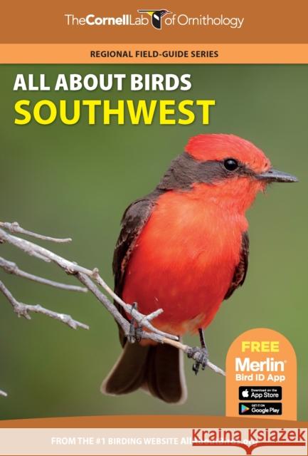 All about Birds Southwest Cornell Lab of Ornithology 9780691990040 Princeton University Press/The Cornell Lab Pu - książka