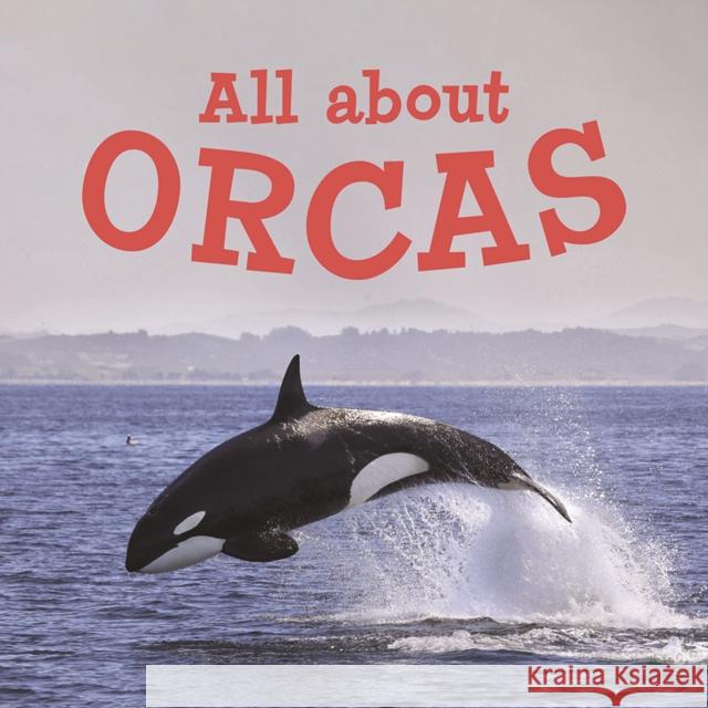 All about Orcas: English Edition Hoffman, Jordan 9780228705307 Inhabit Education Books Inc. - książka