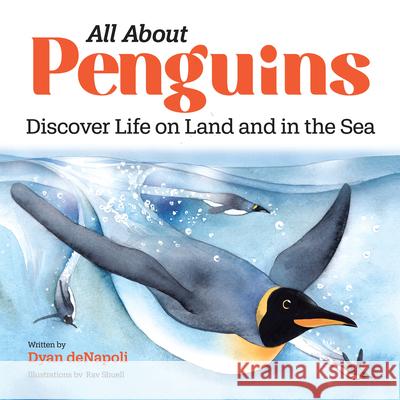 All about Penguins: Discover Life on Land and in the Sea Dyan DeNapoli 9781647397555 Rockridge Press - książka