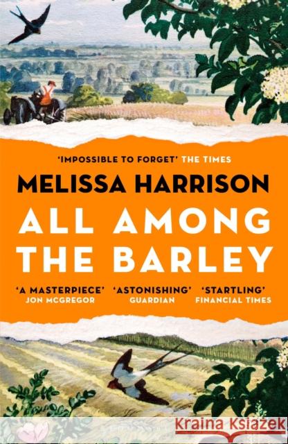 All Among the Barley Melissa Harrison 9781408897973 Bloomsbury Publishing PLC - książka