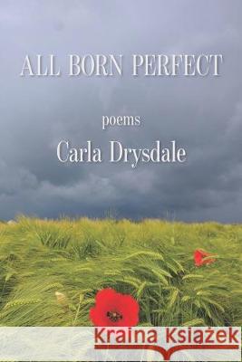 All Born Perfect Carla Drysdale 9781950462193 Kelsay Books - książka