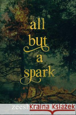 All but a Spark Arafath, Zeeshan 9781720363859 Createspace Independent Publishing Platform - książka