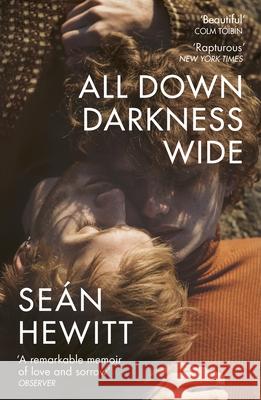 All Down Darkness Wide: A Memoir Sean Hewitt 9781529114478 Vintage Publishing - książka