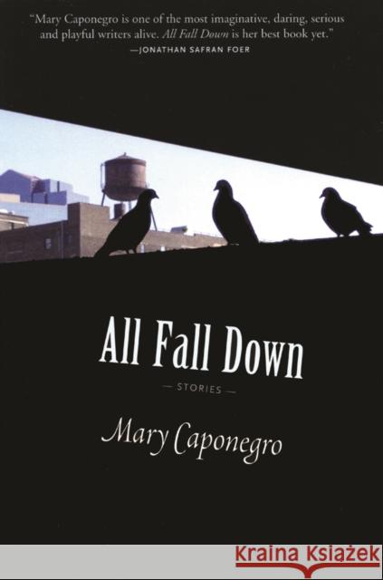 All Fall Down Mary Caponegro 9781566892261 Coffee House Press - książka