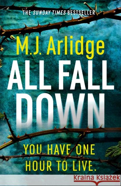 All Fall Down: The Gripping D.I. Helen Grace Thriller M. J. Arlidge 9781409188421 Orion Publishing Co - książka