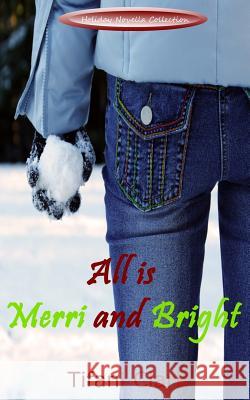 All Is Merri and Bright Tifani Clark 9780692530856 ABCD Publishing - książka