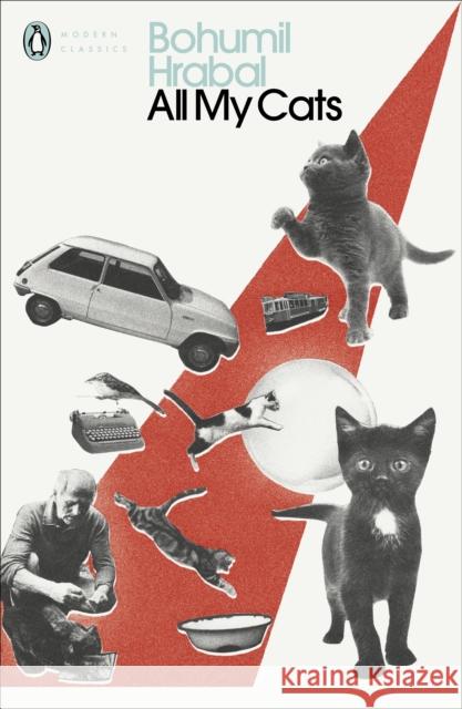 All My Cats Hrabal Bohumil 9780241422199 Penguin Books Ltd - książka