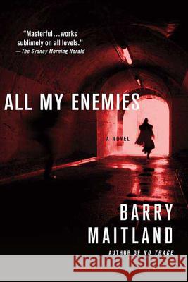All My Enemies Barry Maitland 9780312384005 St. Martin's Griffin - książka