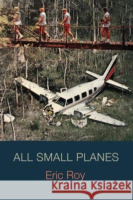 All Small Planes Eric Roy Eileen Cleary Martha McCollough 9781736599006 Lily Poetry Review - książka