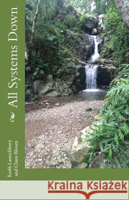 All Systems Down Keith J. Launchbury Claire V. Bloom 9781503267022 Createspace Independent Publishing Platform - książka