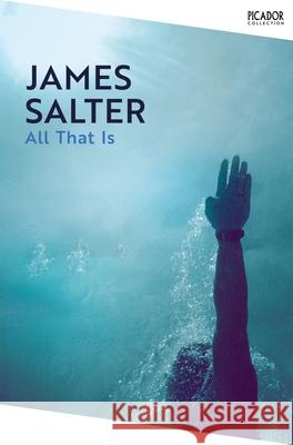 All That Is James Salter 9781035063550 Pan Macmillan - książka