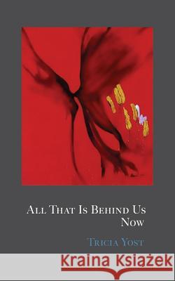 All That Is Behind Us Now Tricia Yost 9780998414652 Radial Books, LLC - książka