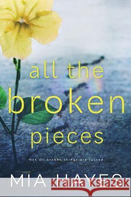 All The Broken Pieces Hayes, Mia 9780578427133 Dawn Rae Miller - książka