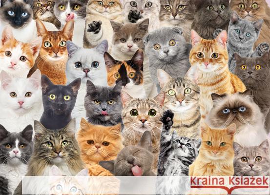All the Cats 500 Piece Jigsaw Puzzle  9781441337542 Peter Pauper Press Inc. - książka