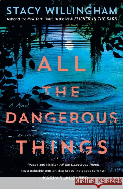 All the Dangerous Things Stacy Willingham 9781250803870 St. Martin's Publishing Group - książka