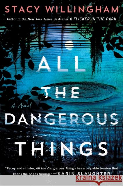 All the Dangerous Things Stacy Willingham 9781250891013 Minotaur Books - książka
