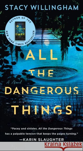 All the Dangerous Things: A Novel Stacy Willingham 9781250344090 Minotaur Books - książka