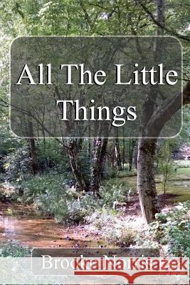 All The Little Things Norris, Brooke 9781979374224 Createspace Independent Publishing Platform - książka