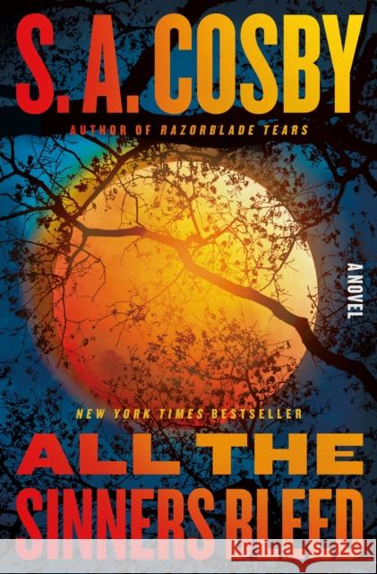 All the Sinners Bleed S. a. Cosby 9781250831910 Flatiron Books - książka