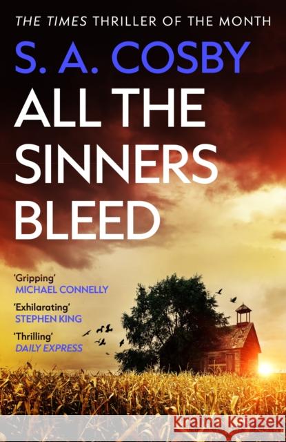 All The Sinners Bleed: the new thriller from the award-winning author of RAZORBLADE TEARS S. A. Cosby 9781472299154 Headline Publishing Group - książka