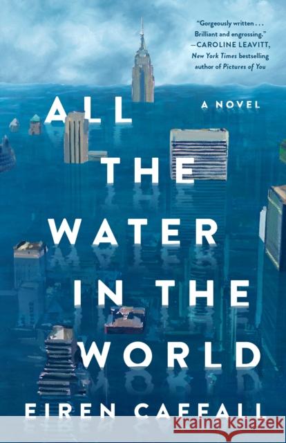 All the Water in the World: A Novel Eiren Caffall 9781250353528 St. Martin's Press - książka