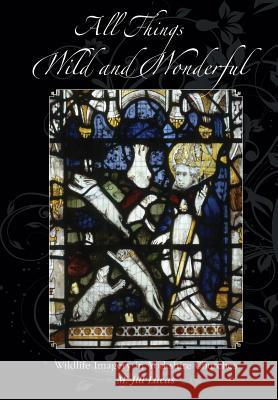 All Things Wild and Wonderful Jill M. Lucas 9780954403515 Northern Bee Books - książka
