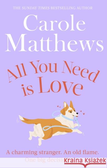 All You Need is Love: The uplifting romance from the Sunday Times bestseller Carole Matthews 9780751551488 Little, Brown Book Group - książka