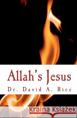 Allah's Jesus: A Messiah in Babylon Dr David a. Rice 9781448643431 Createspace - książka