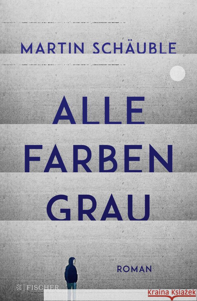 Alle Farben grau Schäuble, Martin 9783737343299 FISCHER Sauerländer - książka