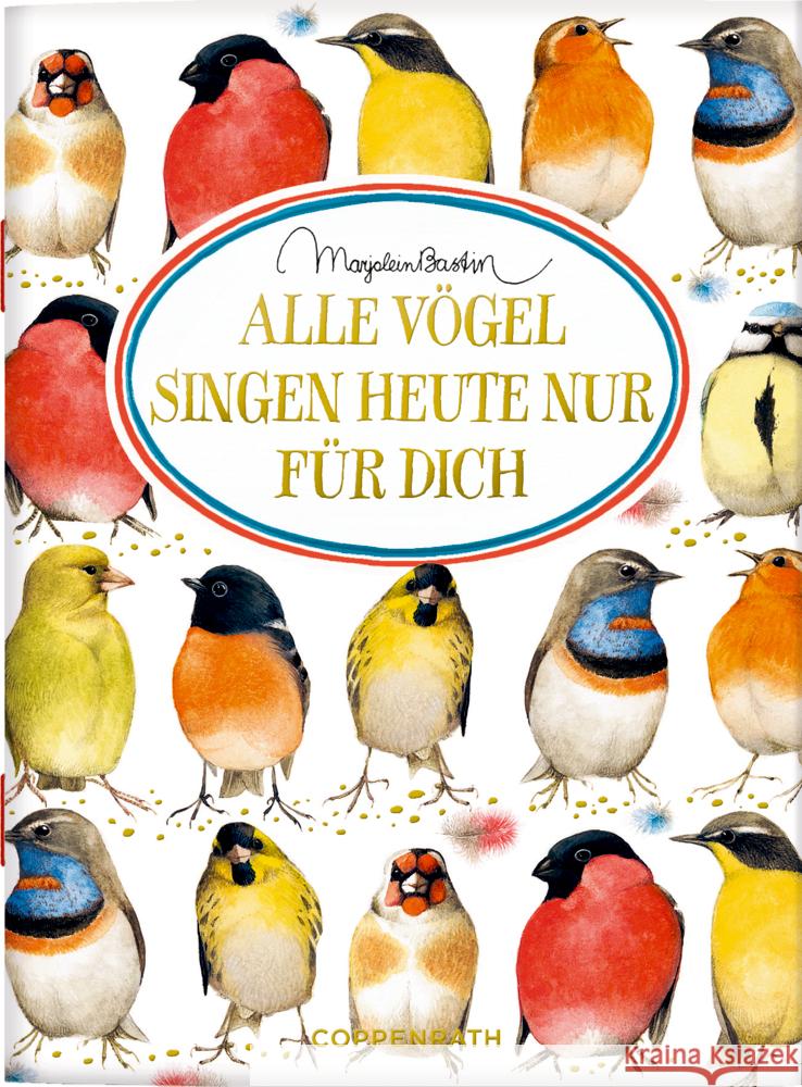 Alle Vögel singen heute nur für dich  9783649641827 Coppenrath, Münster - książka