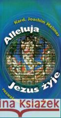 Alleluja, Jezus żyje Joachim Meisner 9788388301476 TUM - książka