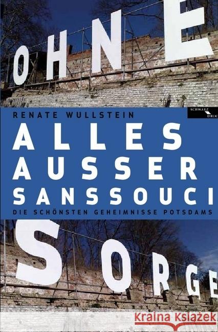 Alles außer Sanssouci : Die Geschichten der Potsdamer Wullstein, Renate 9783746724492 epubli - książka