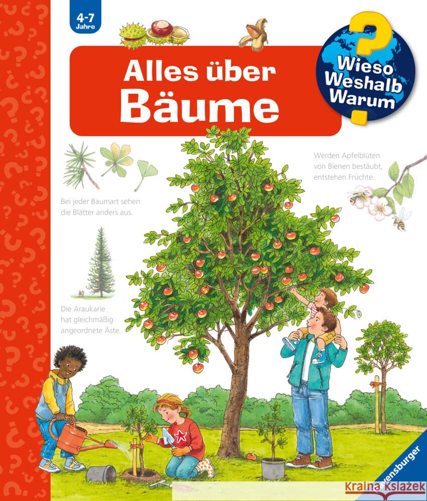 Alles über Bäume Gernhäuser, Susanne 9783473329823 Ravensburger Verlag - książka