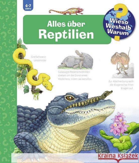 Alles über Reptilien Mennen, Patricia 9783473326730 Ravensburger Buchverlag - książka