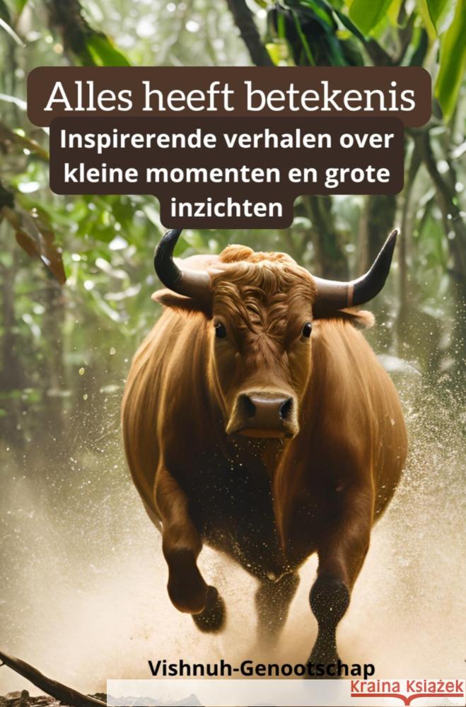 Alles heeft Betekenis Ida-Bagus, Lancar 9789403784588 Bookmundo - książka