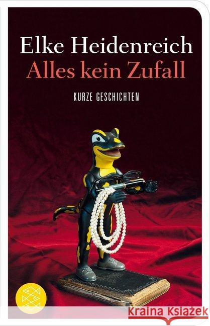 Alles kein Zufall : Kurze Geschichten Heidenreich, Elke 9783596521739 FISCHER Taschenbuch - książka