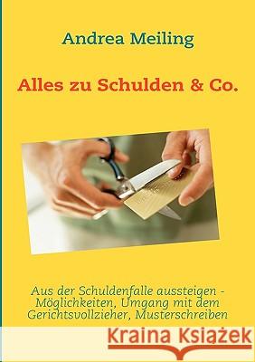 Alles zu Schulden & Co.: Aus der Schuldenfalle aussteigen Andrea Meiling, Calberlah Verlag4you 9783837016079 Books on Demand - książka