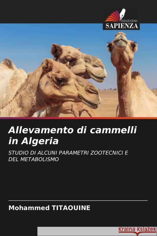 Allevamento di cammelli in Algeria Titaouine, Mohammed 9786205556641 Edizioni Sapienza - książka